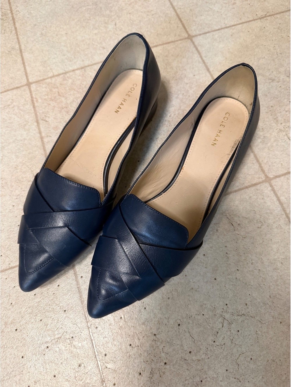 Sole Society Navy Pointed Toe Flats